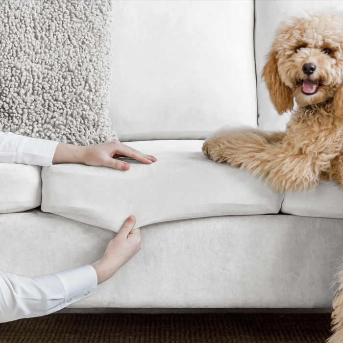 No More Smells and Scratching - Slipcover Care Guide for Pet Owners